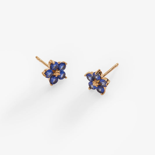 a pair of blue earrings