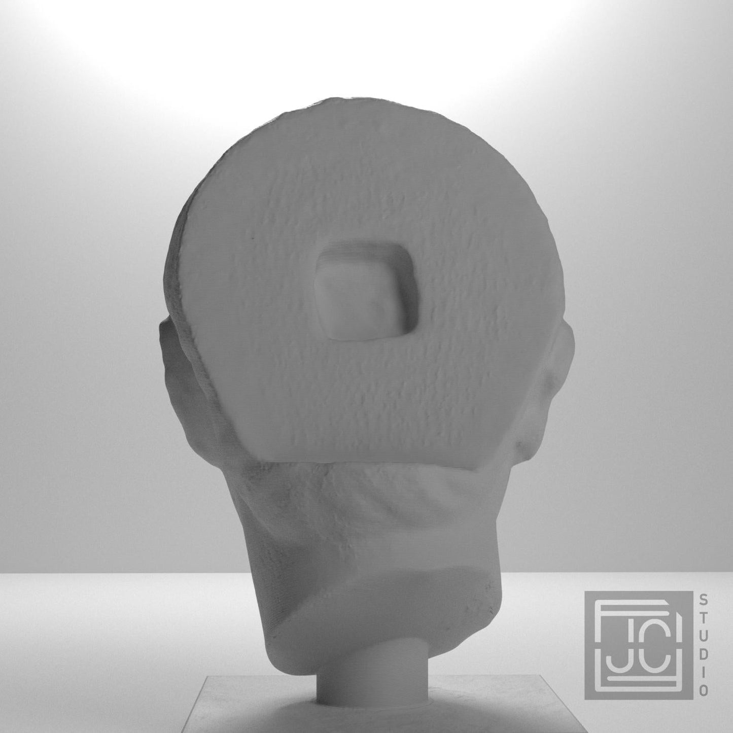 Head of a Young Man
