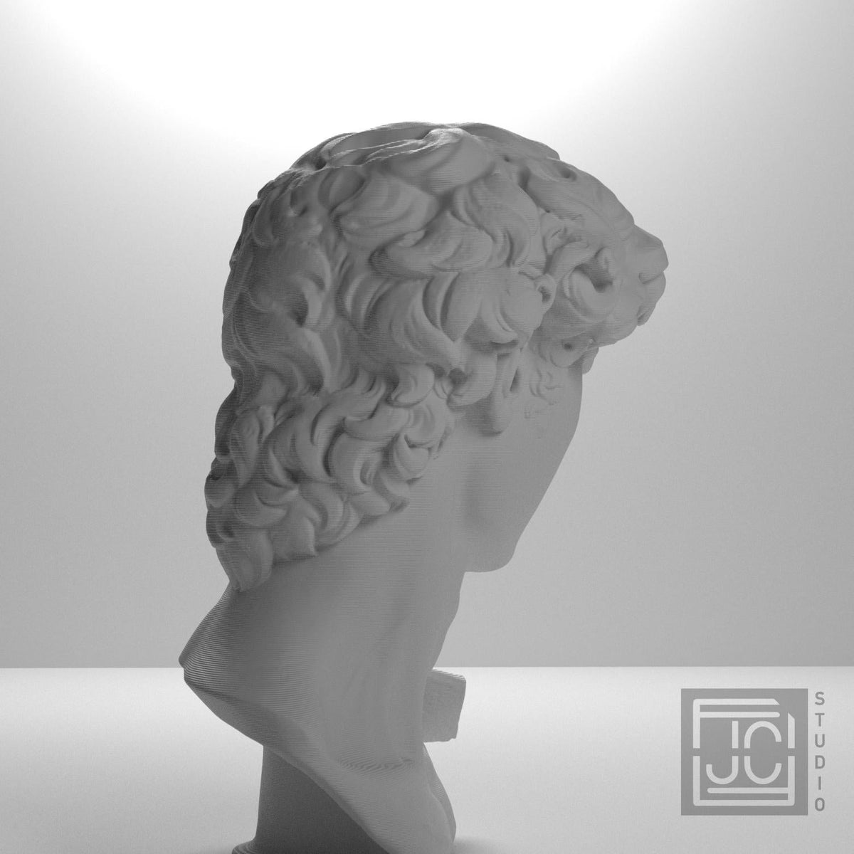 Head of Michelangelo's David
