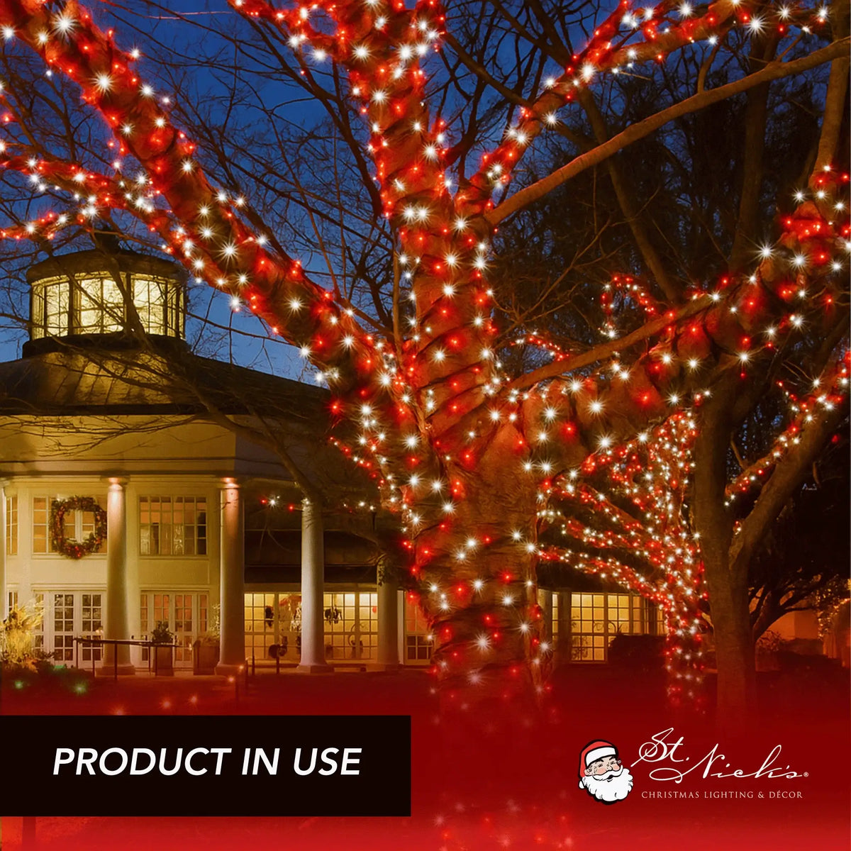 a tree with red lights and a building