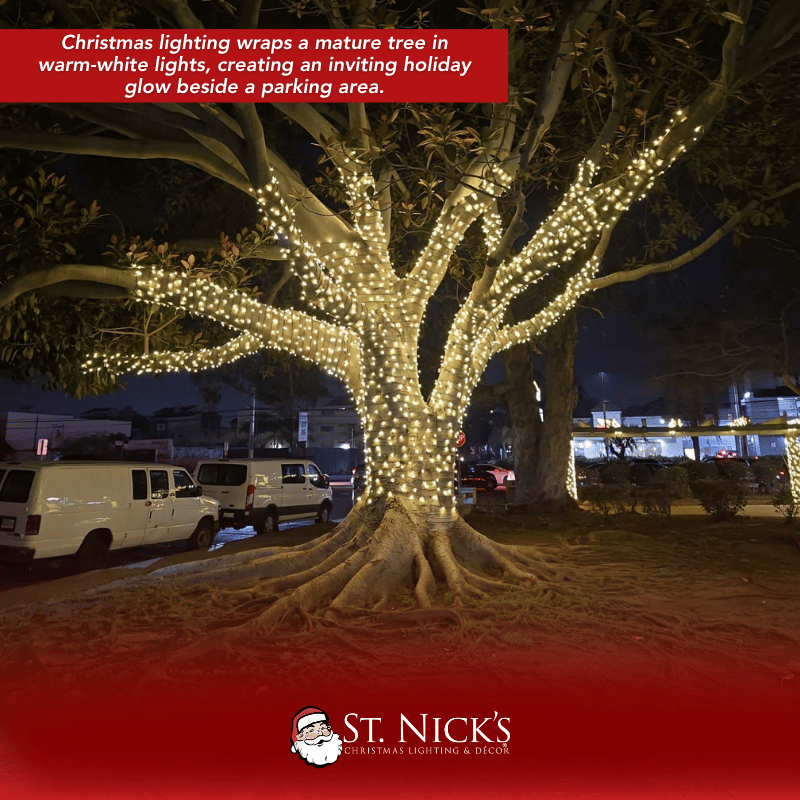 a tree with lights on it