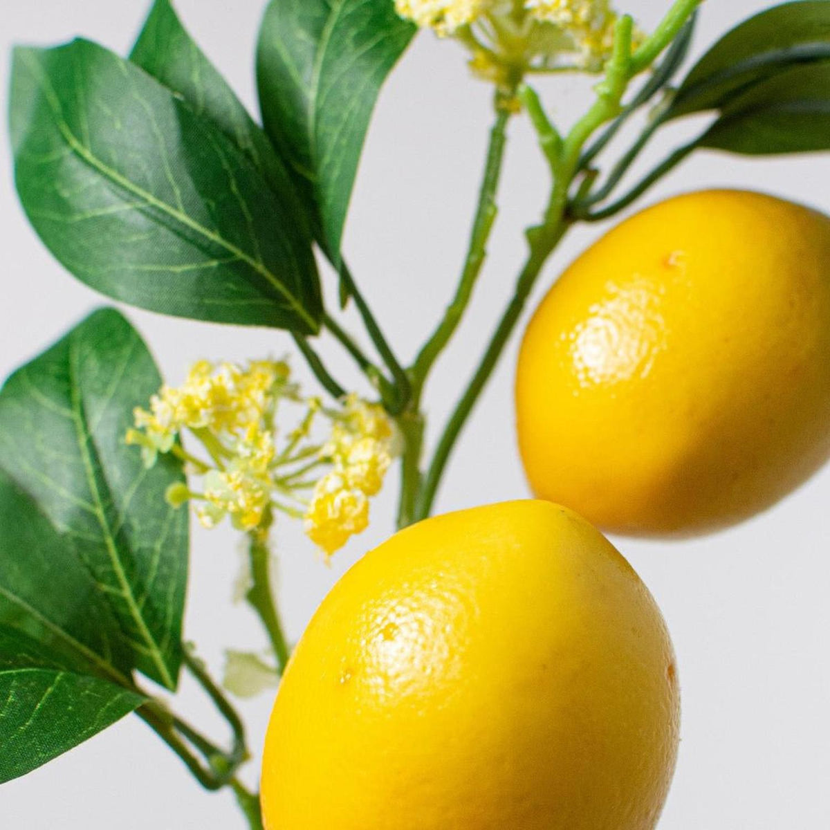 13" Lemon Leaf Spray