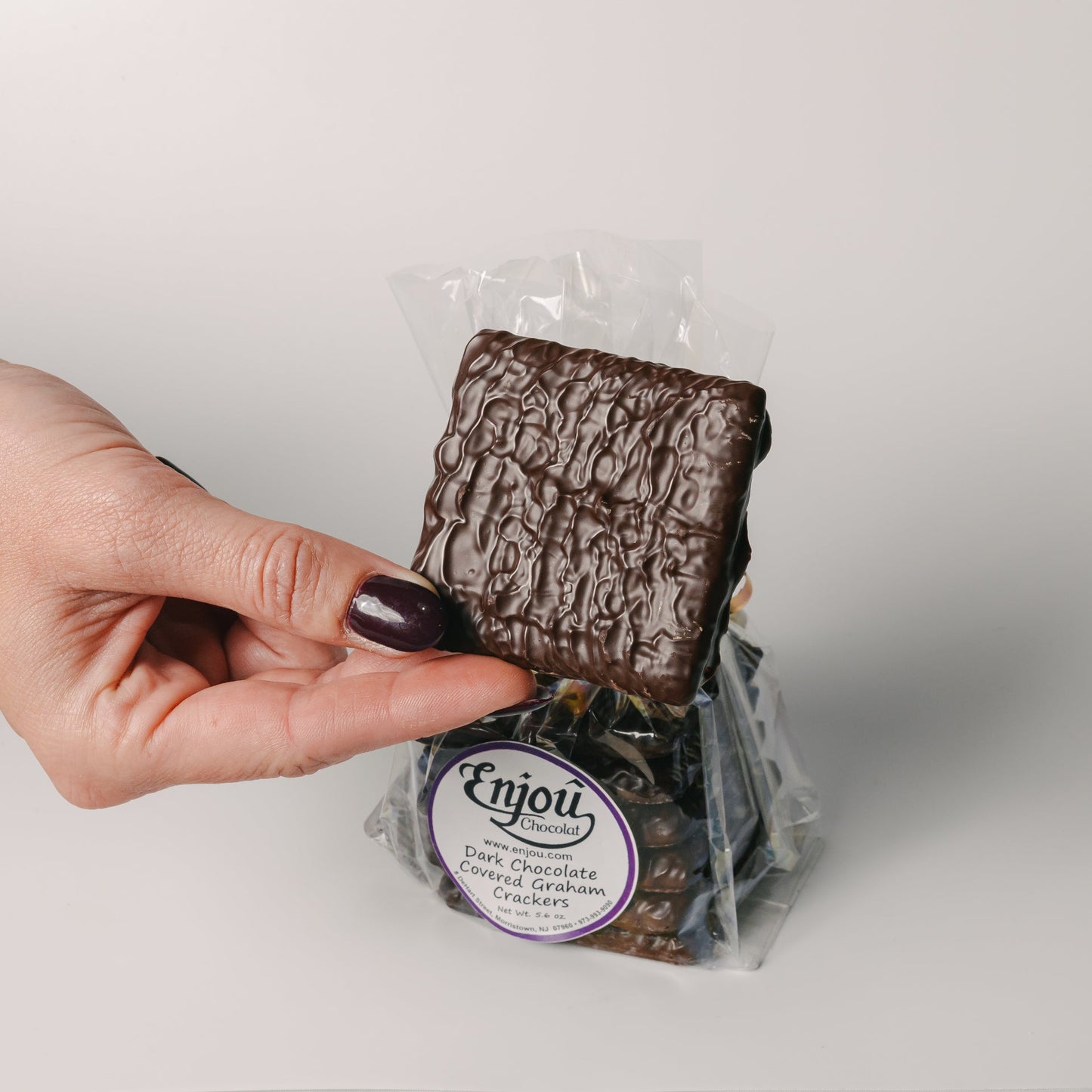 Chocolate Covered Graham Crackers