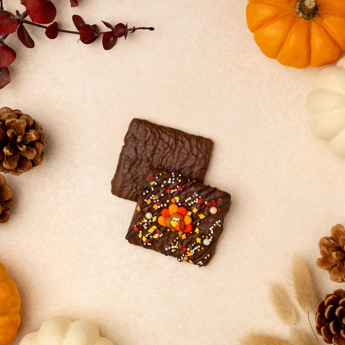 2-Piece Decorated Grahams - Thanksgiving