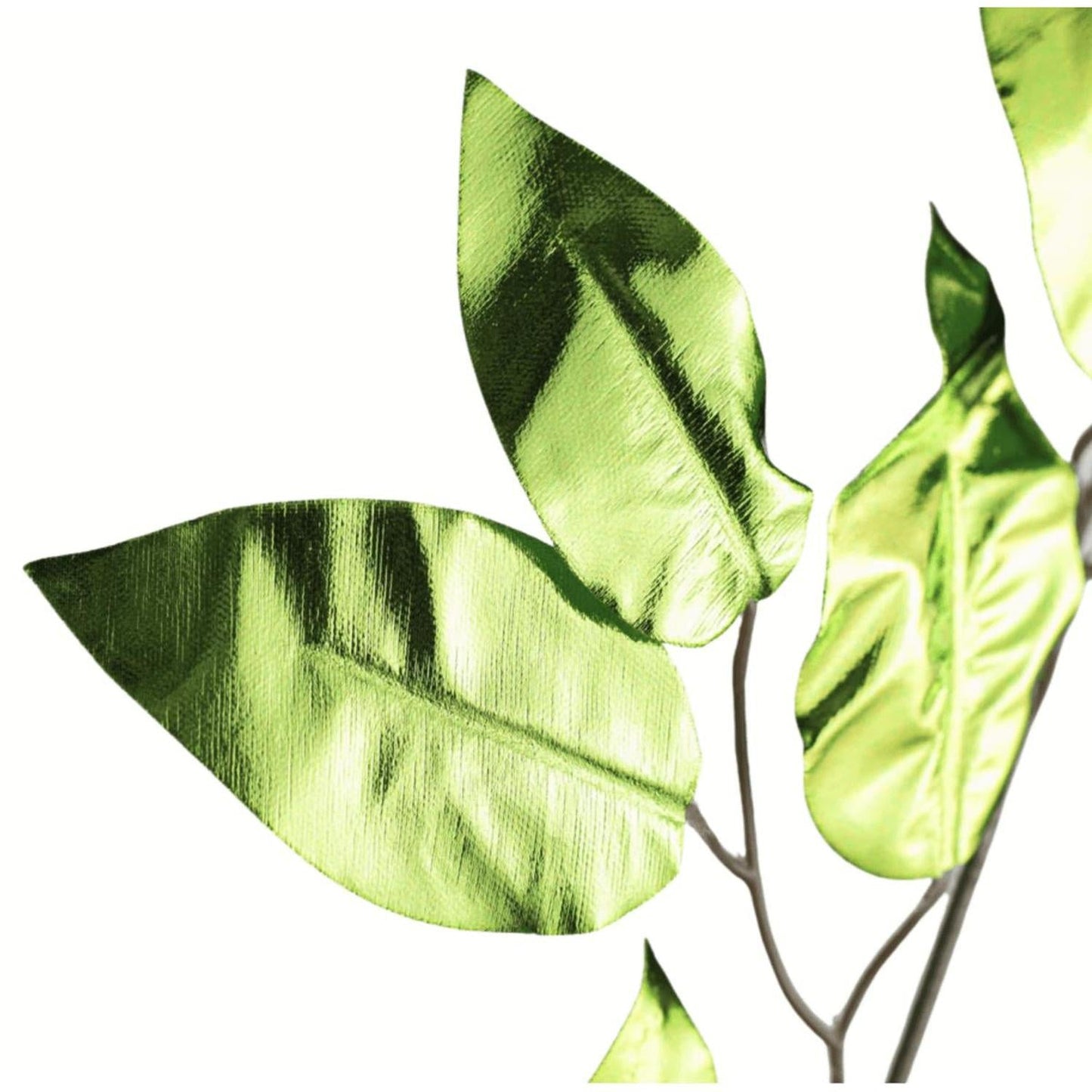 23" Metallic Ficus Leaf Spray: Lime Green (Set of 12)