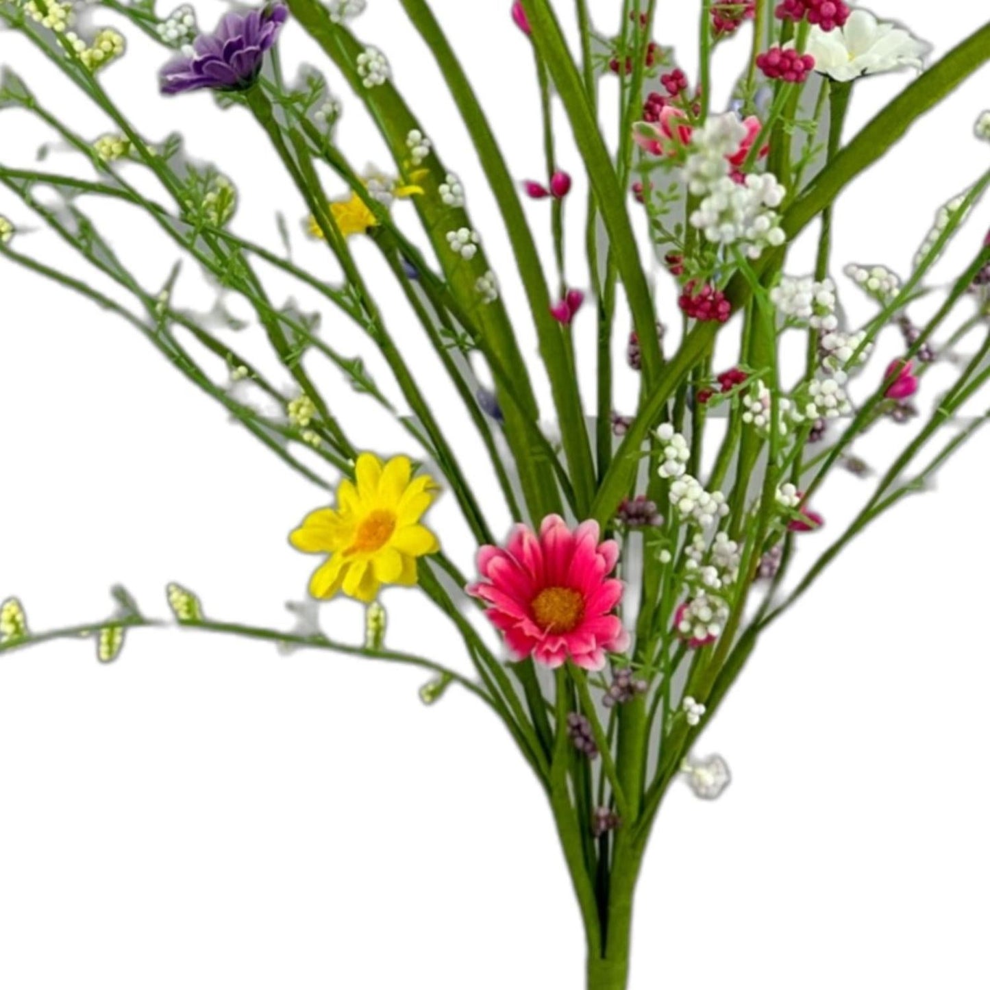 24" Daisy Pick