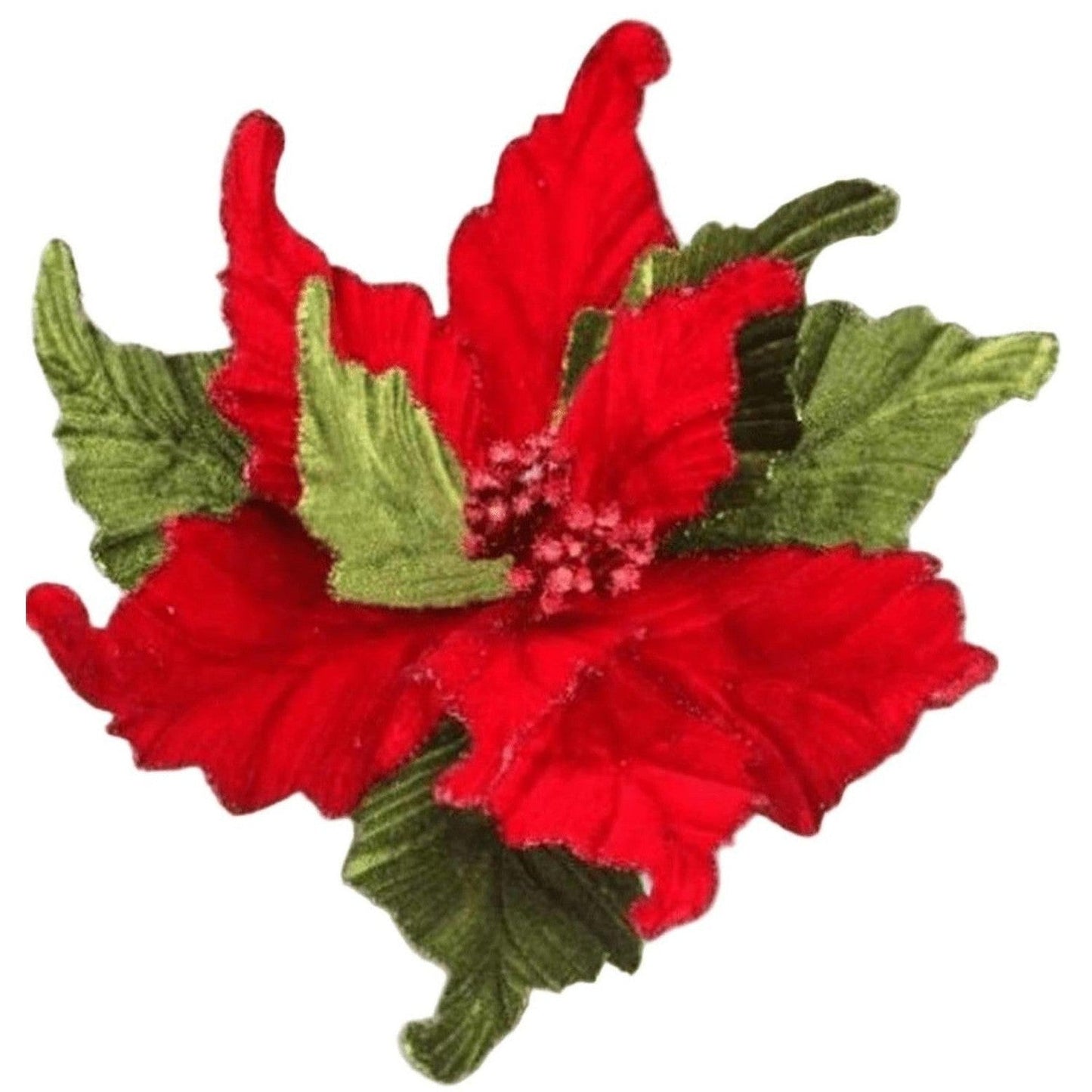 24” Glitter Edge Velvet Poinsettia Stem