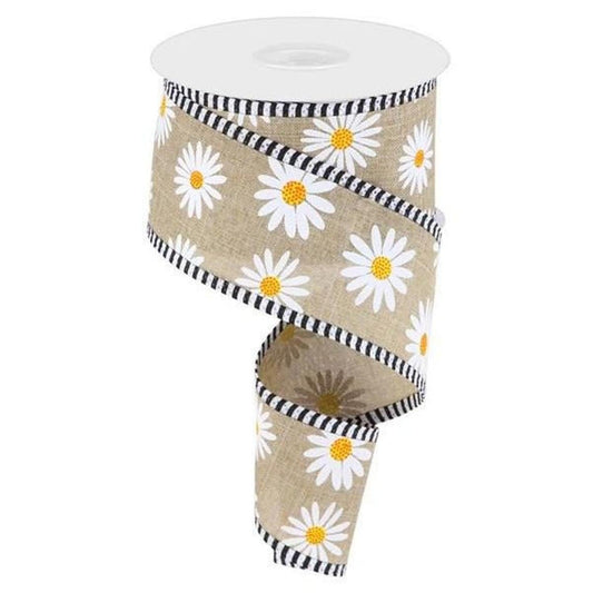 2.5" Daisy Stripe Royal Ribbon: Light Beige (10 Yards)