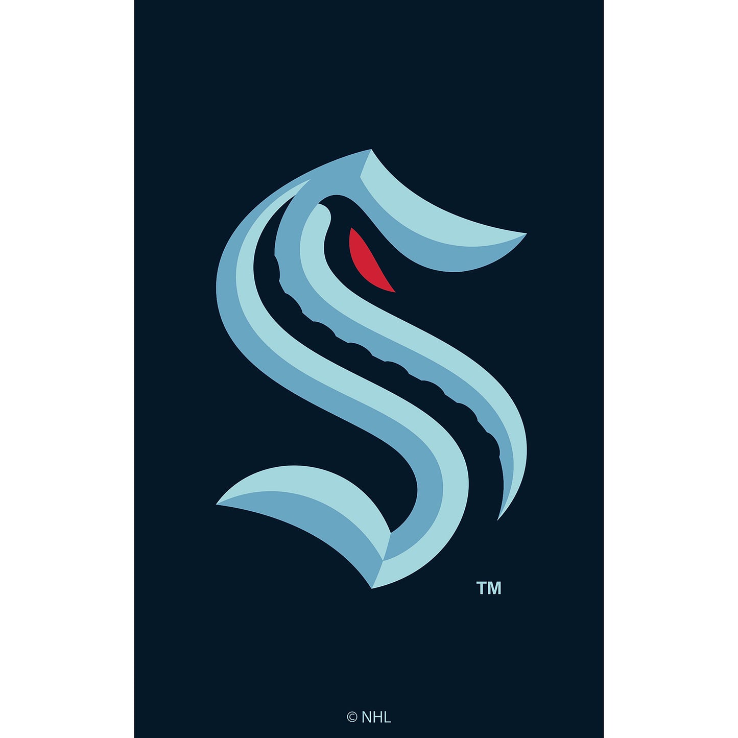 Seattle Kraken Applique House Flag