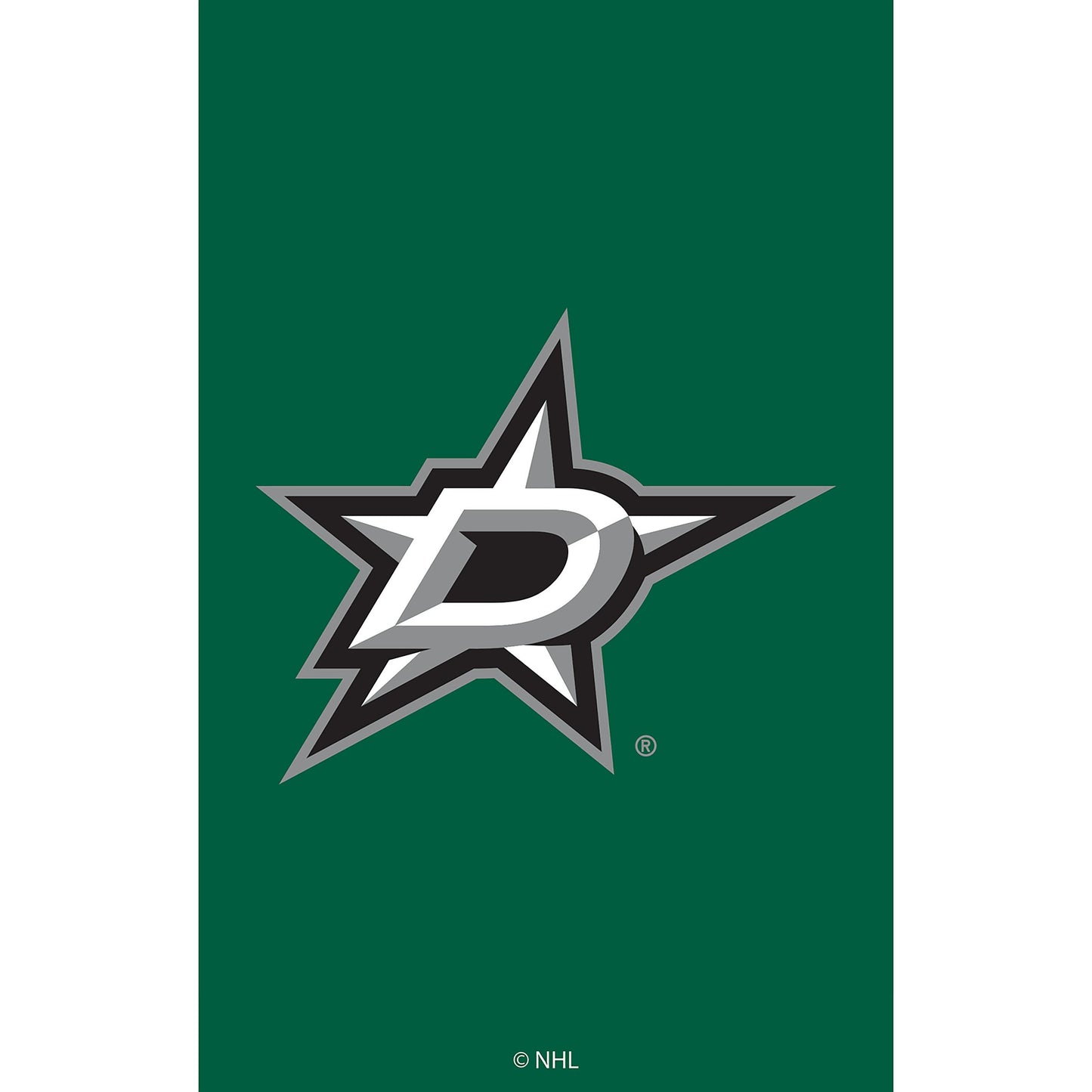 Dallas Stars Applique House Flag