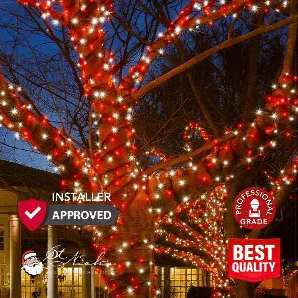 a tree with lights on it