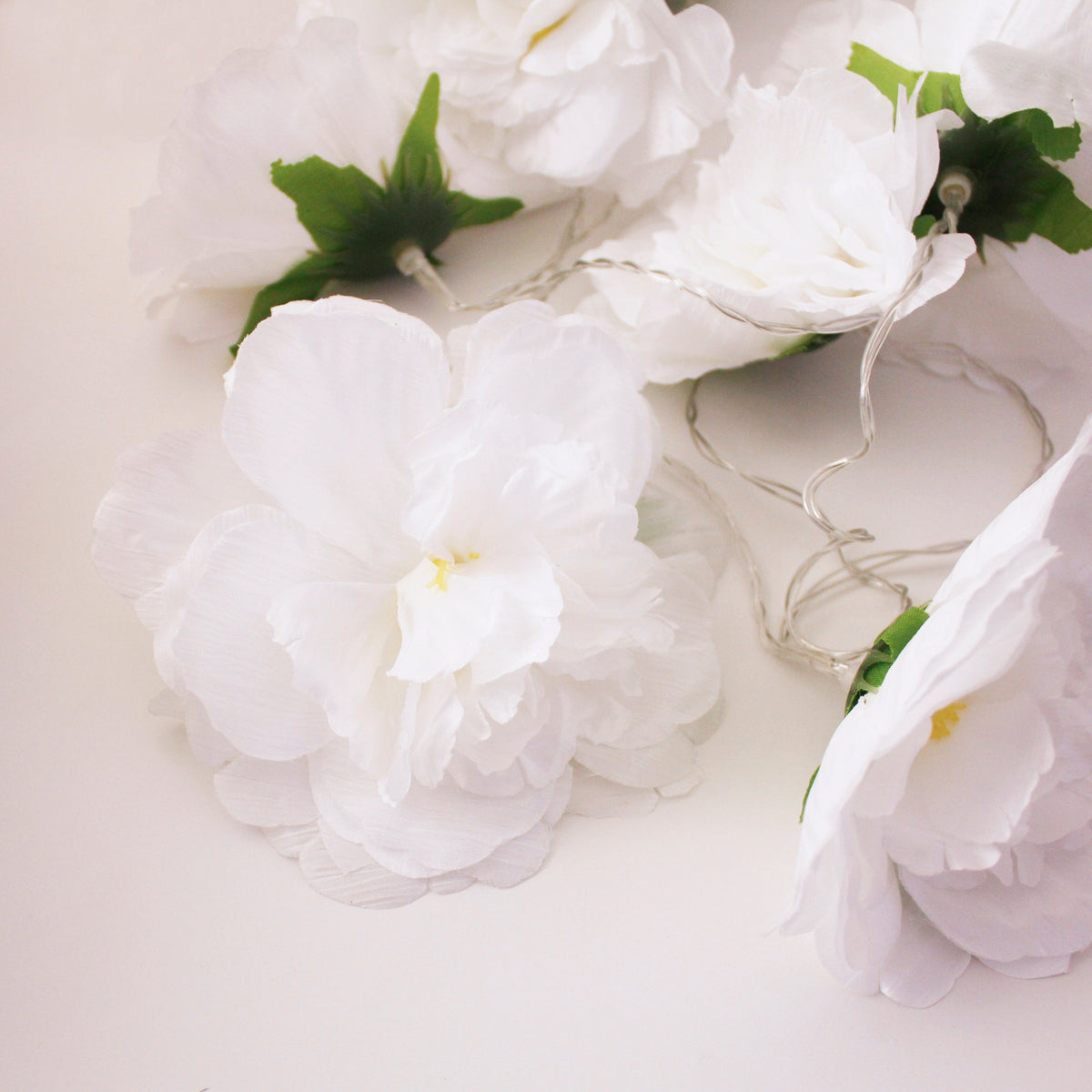 a group of white flowers