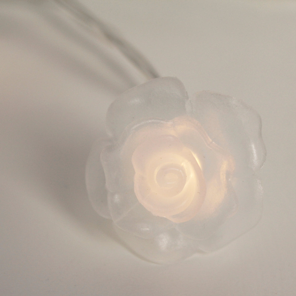 20 LED Lights Battery Operated with PVC Clear Rose - Warm White