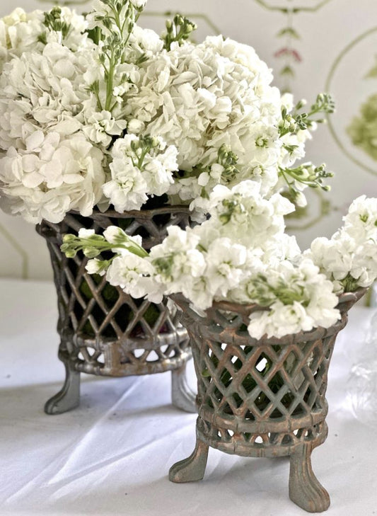 a group of white flowers in a vase