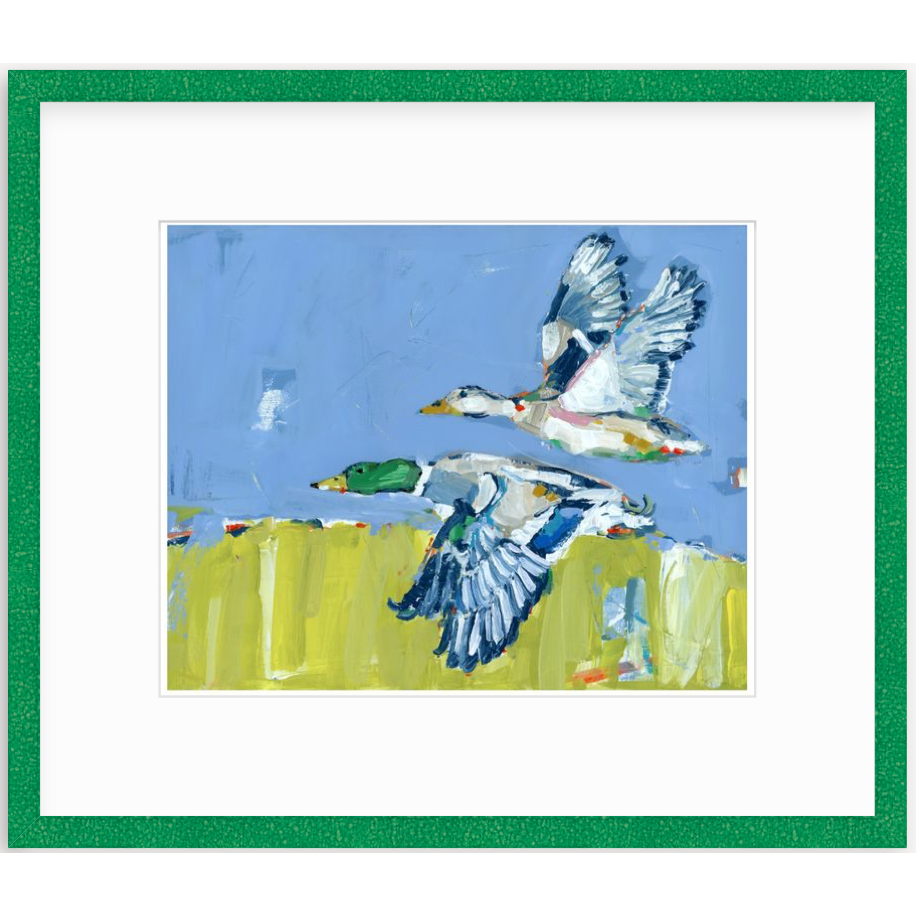 Duck Krausing Mallard Ducks Fine Art Print