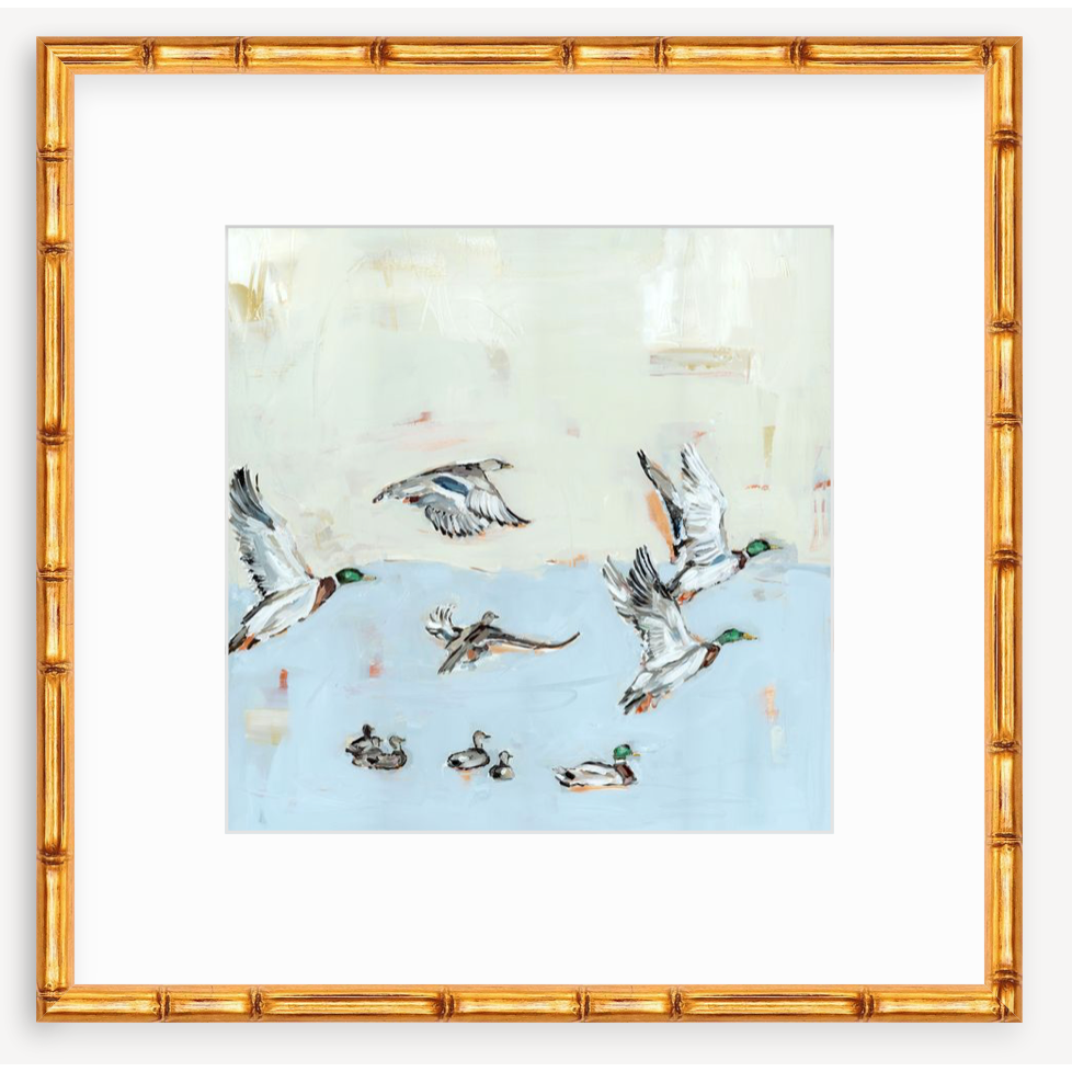 Taking Off Mallard Ducks Fine Art Print
