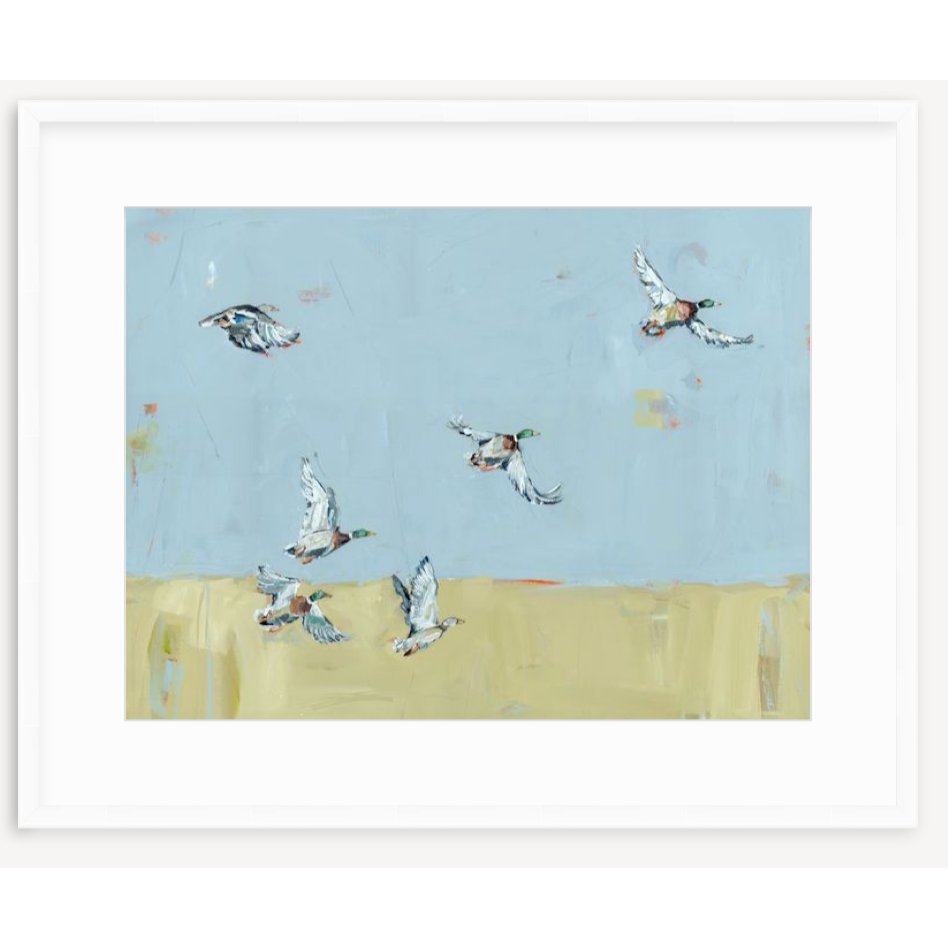 Here We Go Again Ducks Fine Art Print