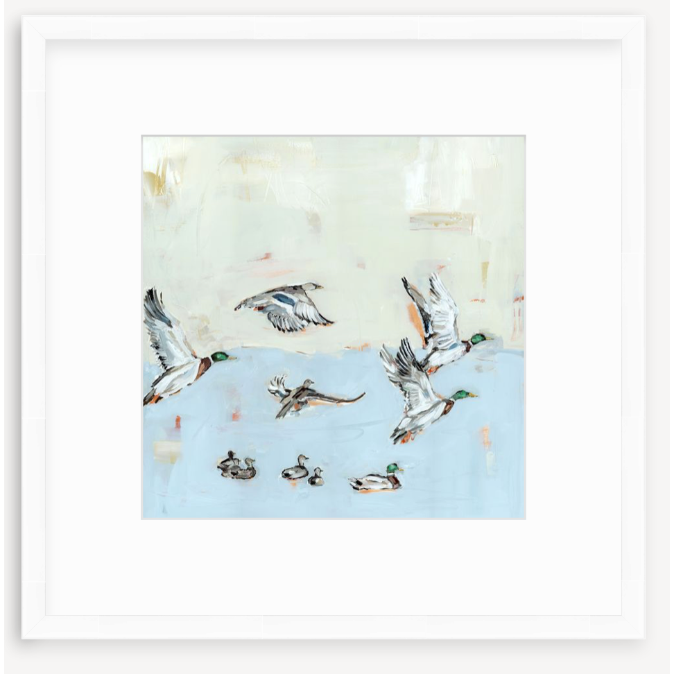 Taking Off Mallard Ducks Fine Art Print