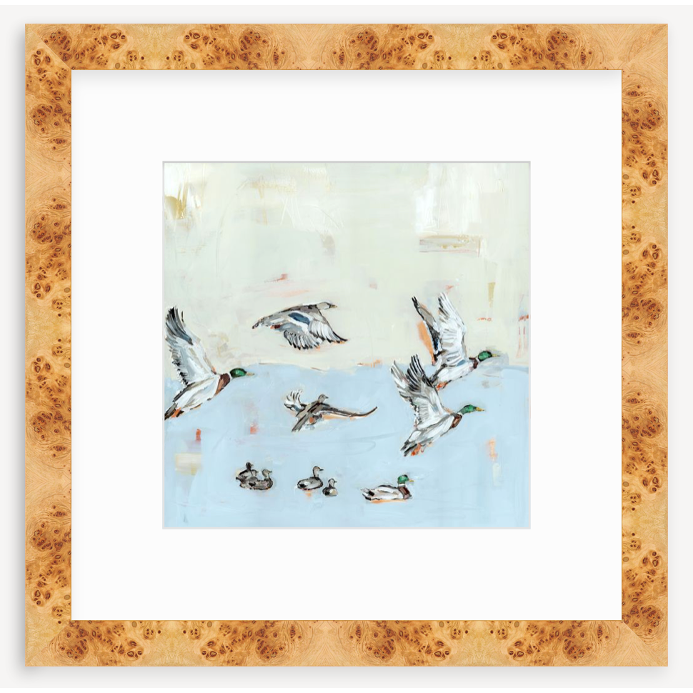 Taking Off Mallard Ducks Fine Art Print