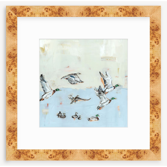 Taking Off Mallard Ducks Fine Art Print