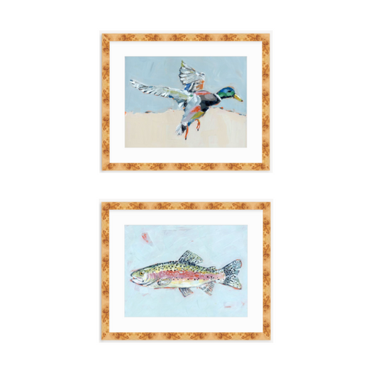Shore Searching Mallard And Fish Fine Art Print