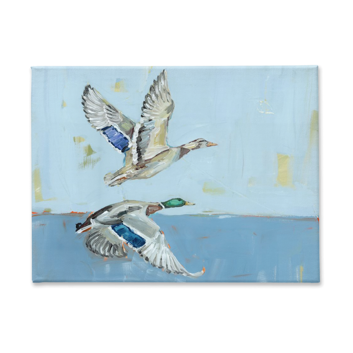 "Soaring High" on canvas