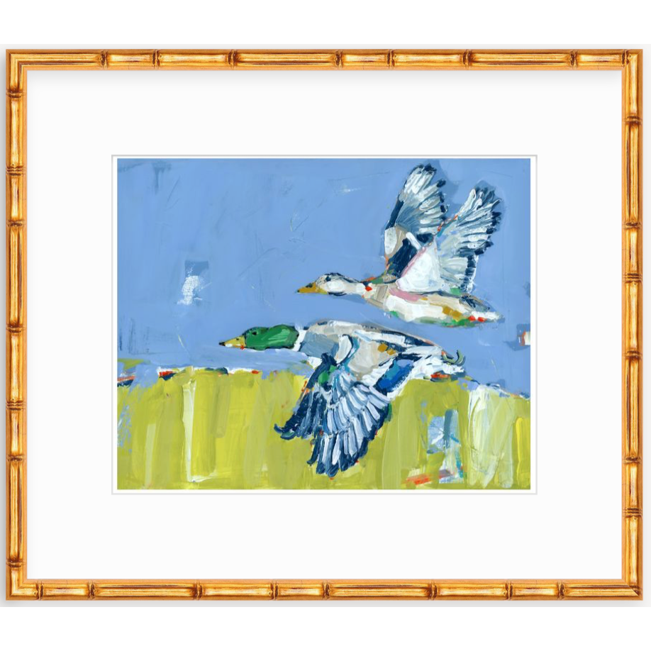 Duck Krausing Mallard Ducks Fine Art Print