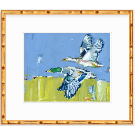 Duck Krausing Mallard Ducks Fine Art Print