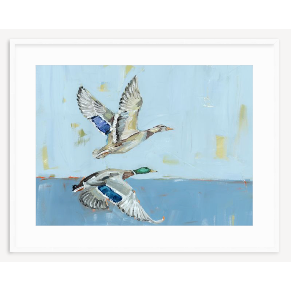 Soaring High Ducks Fine Art Print