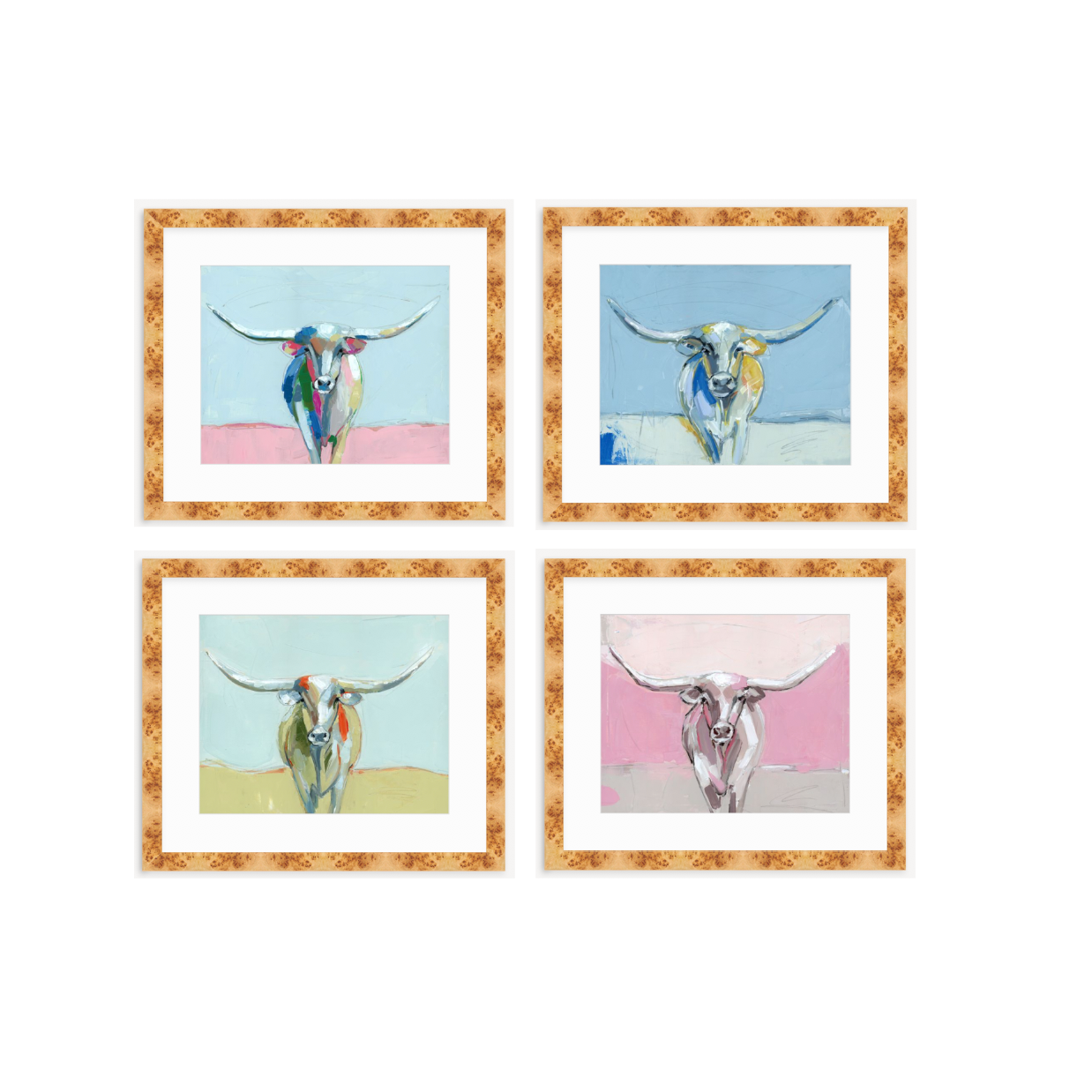 Longhorns Fine Art Prints