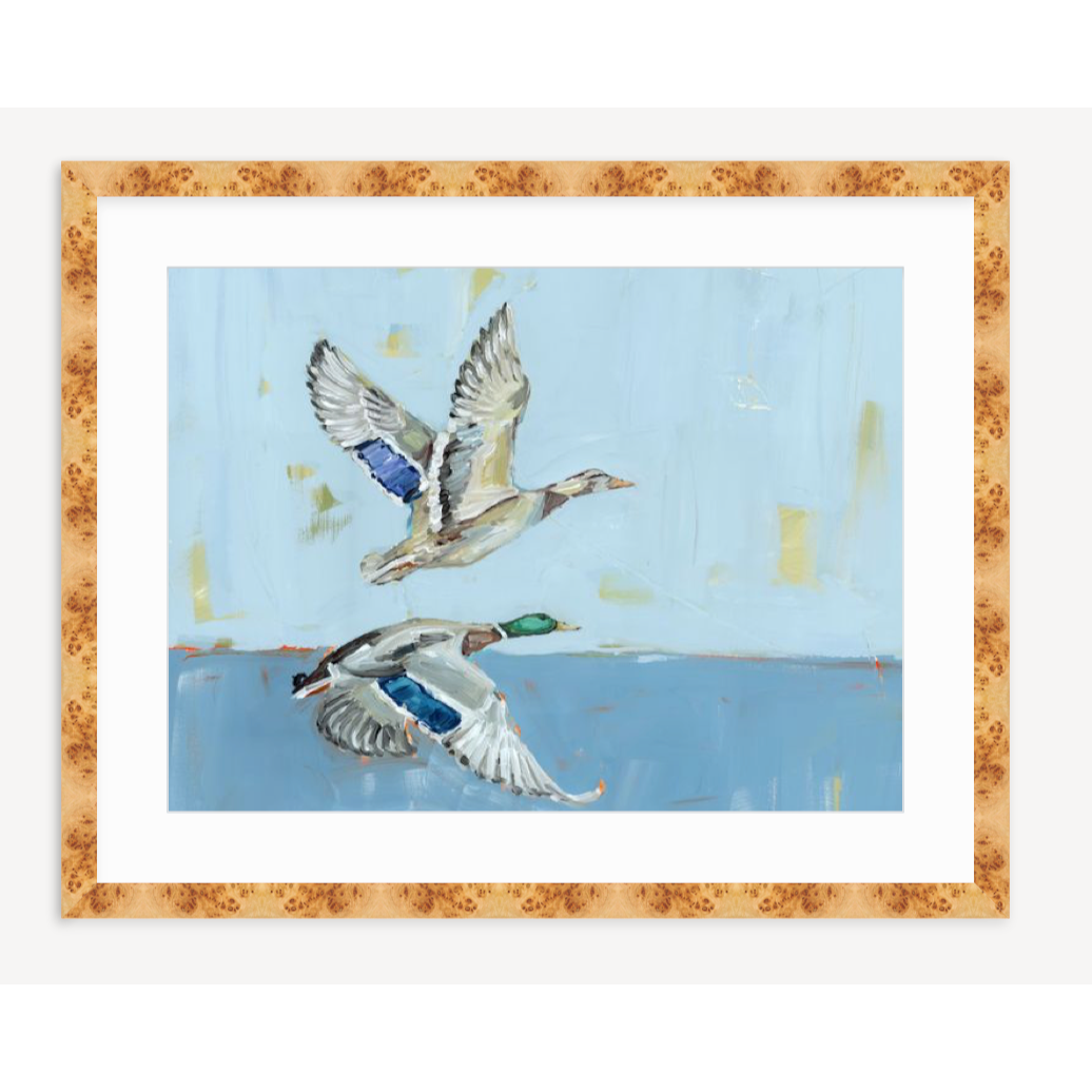Soaring High Ducks Fine Art Print