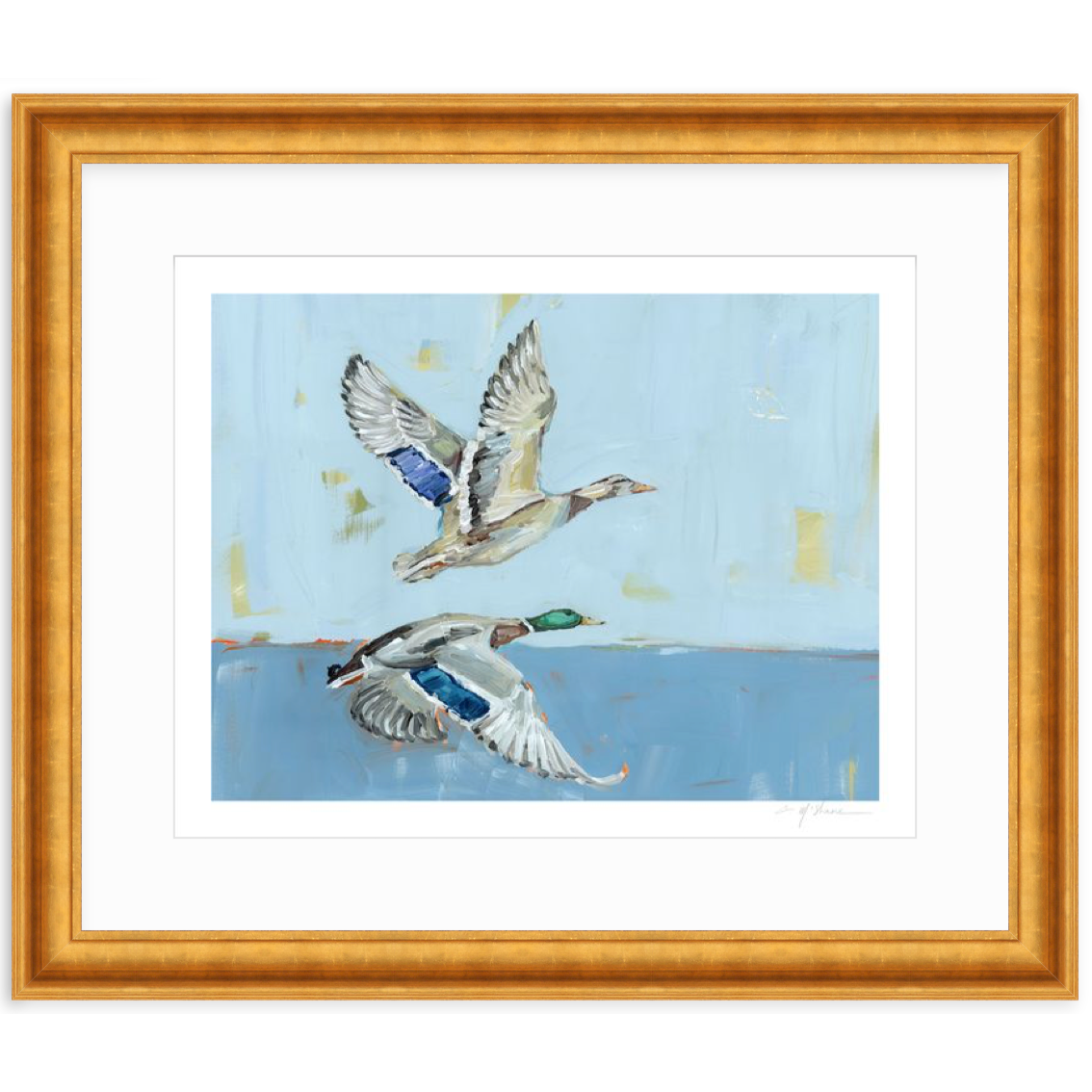 Soaring High Ducks Fine Art Print