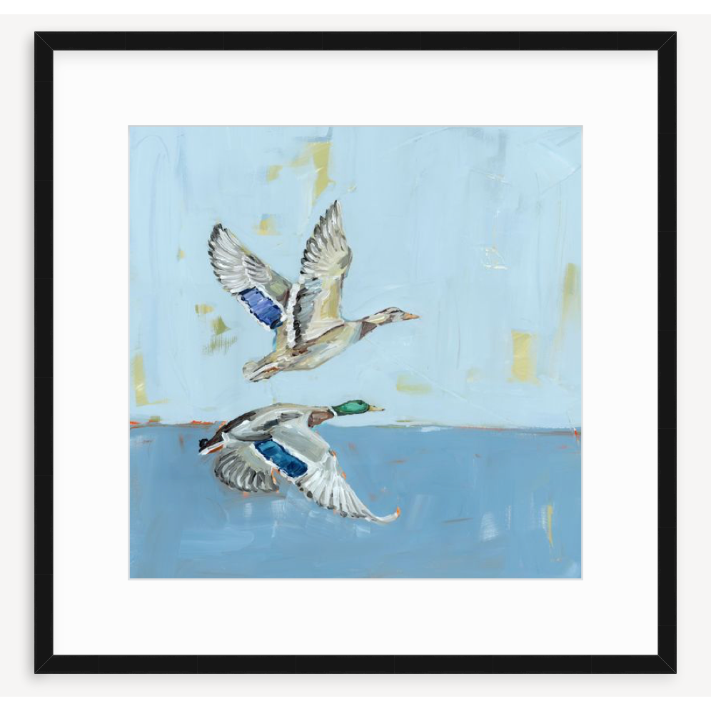 Soaring High Ducks Fine Art Print