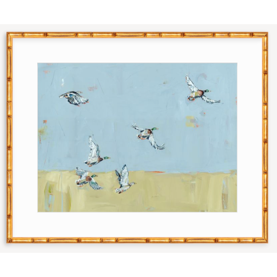 Here We Go Again Ducks Fine Art Print