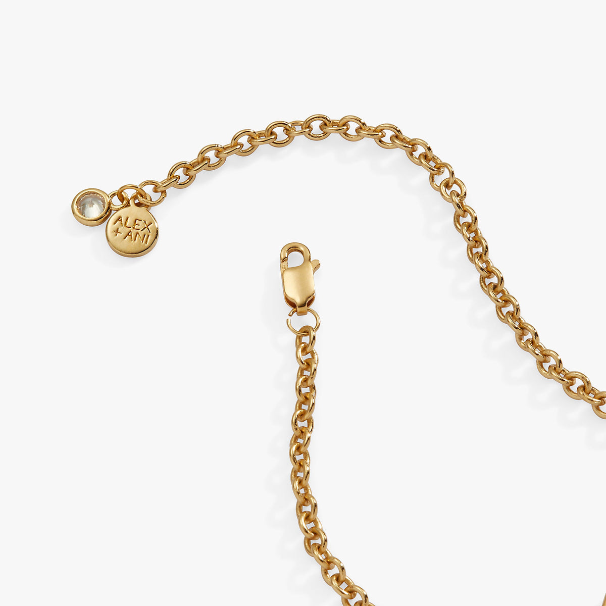 a gold chain with a small disc