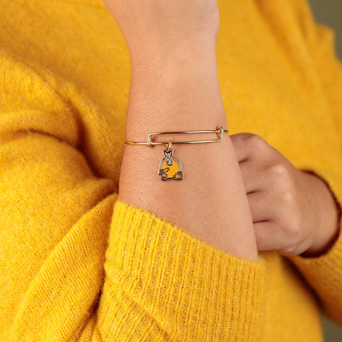FRIENDS™ Holiday Armadillo Charm Bangle