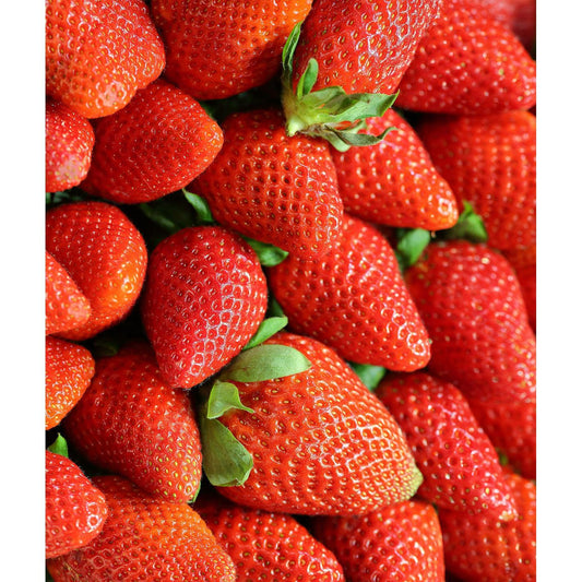 Allstar Junebearer Strawberry - 20 root divisions