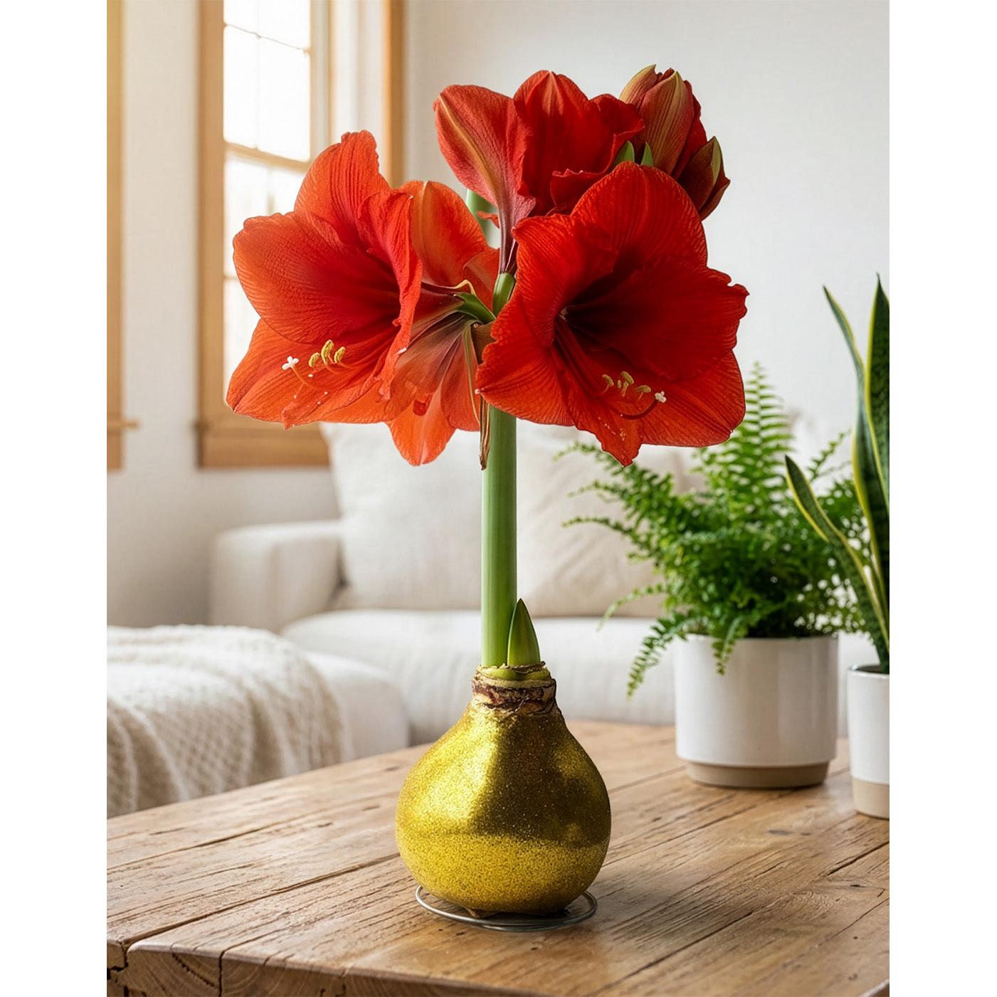 Gold Glitter Waxed Amaryllis with Red Flower