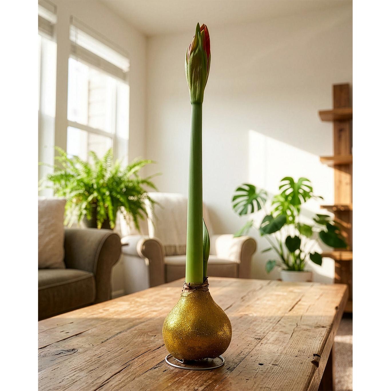 Gold Glitter Waxed Amaryllis with Red Flower