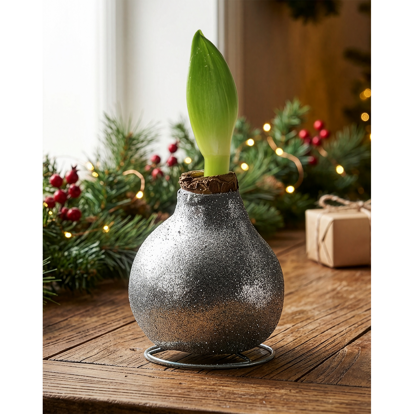Silver Glitter Waxed Amaryllis with Pink Flower