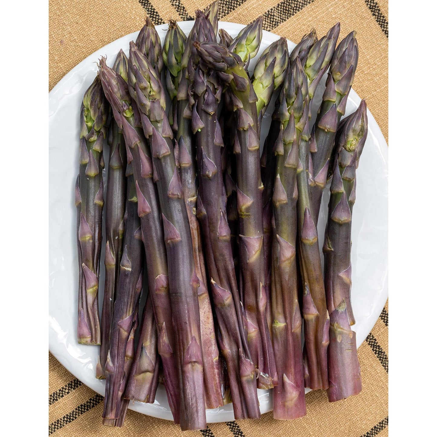 Purple Passion Asparagus Crowns - 10 root divisions