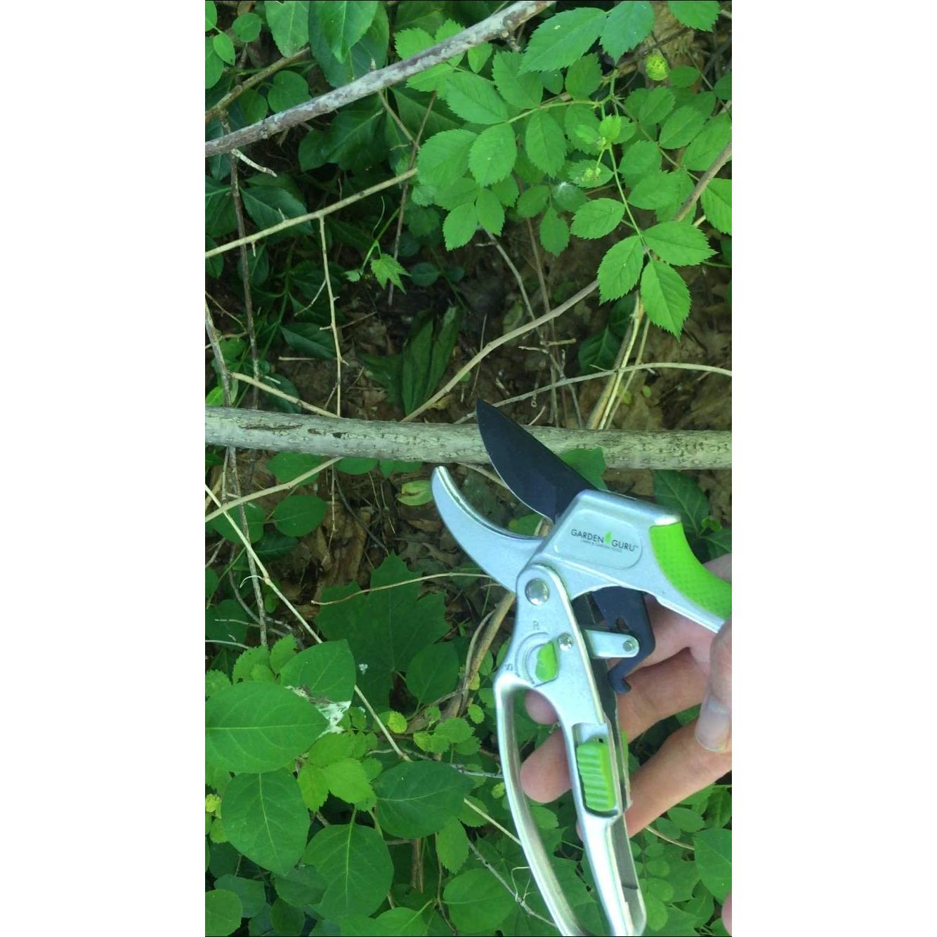 2-in-1 Garden Ratchet Pruning Shears Clippers