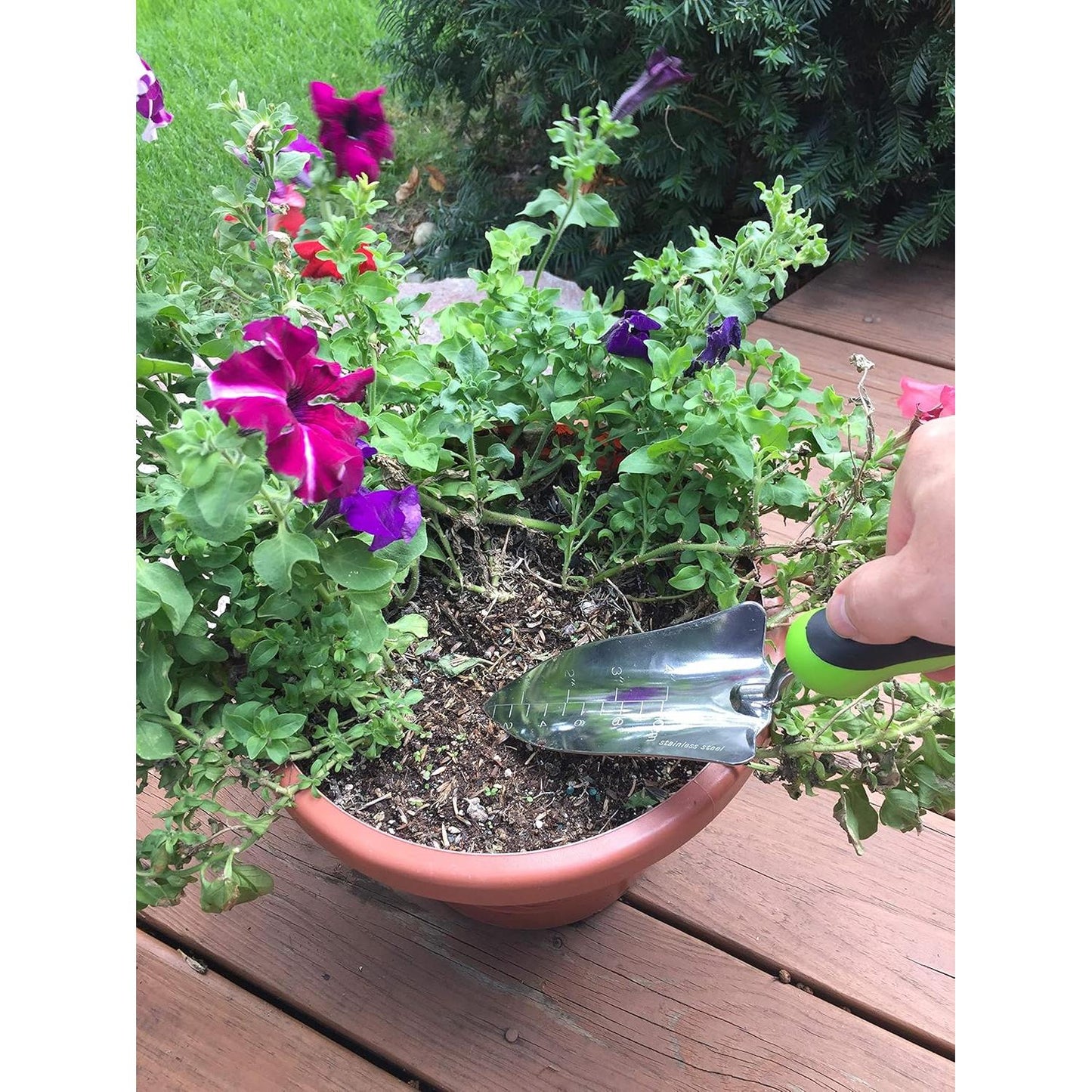 Stainless Steel Garden Transplanter Trowel