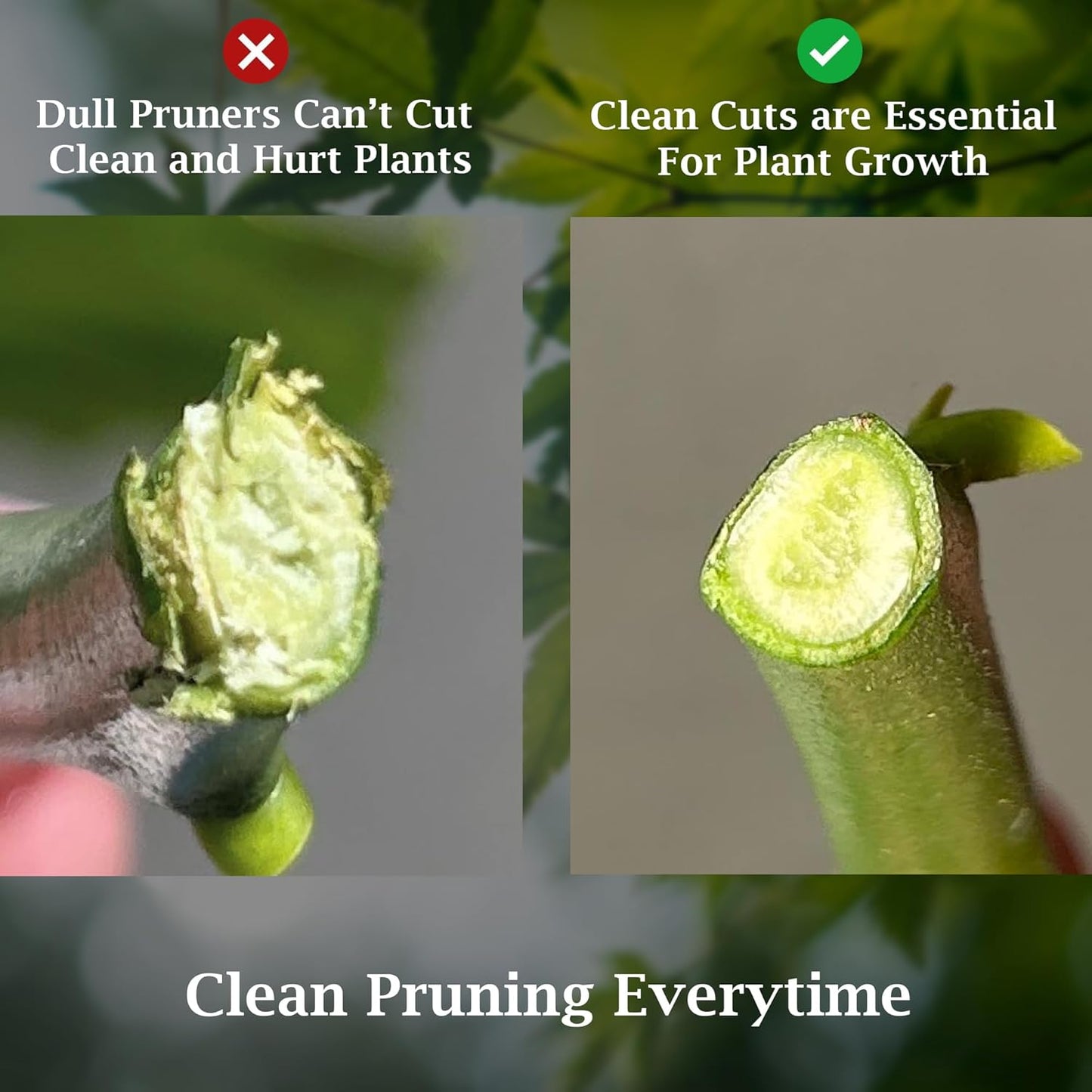 Garden Bypass Pruner Elite