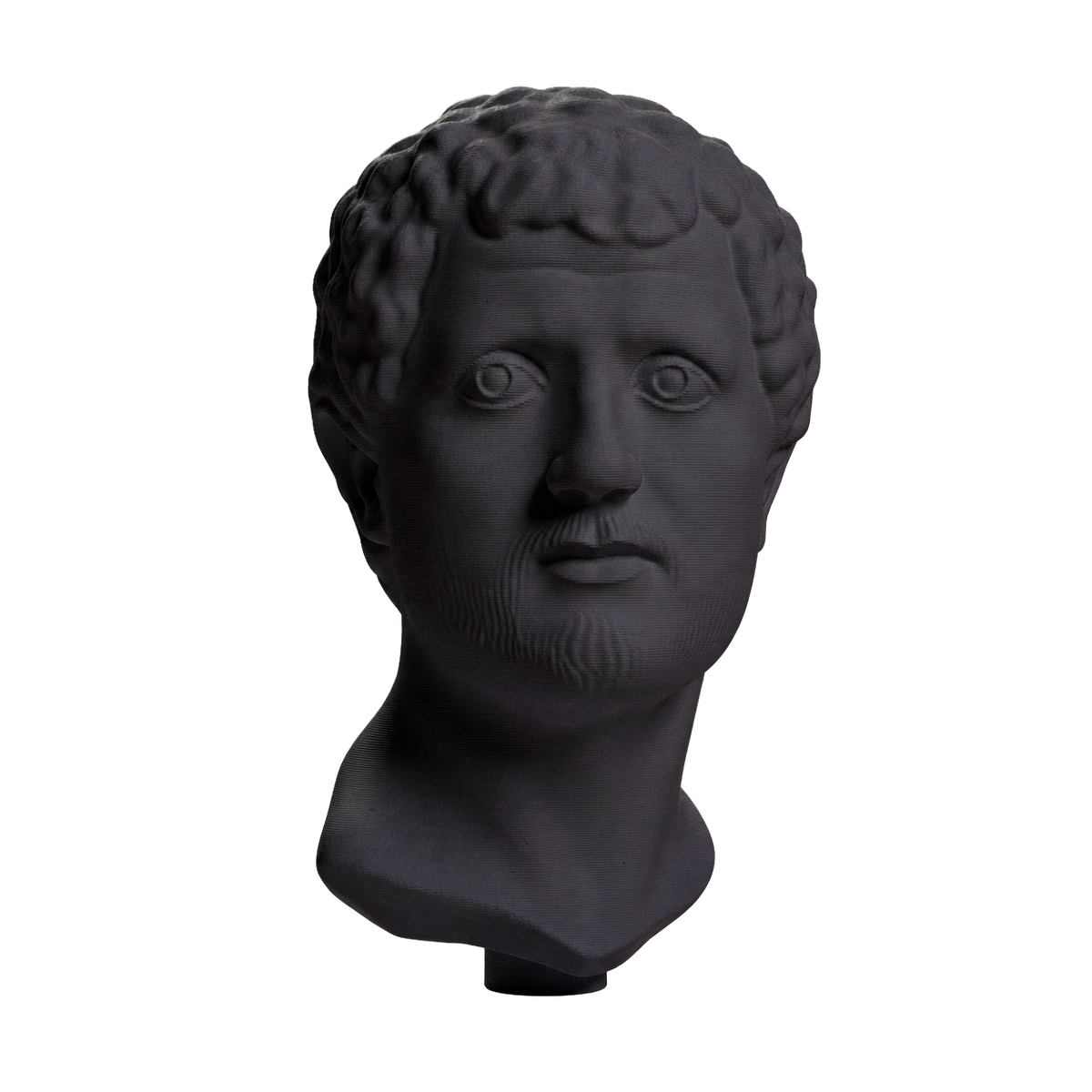 Portrait Head of a Man
