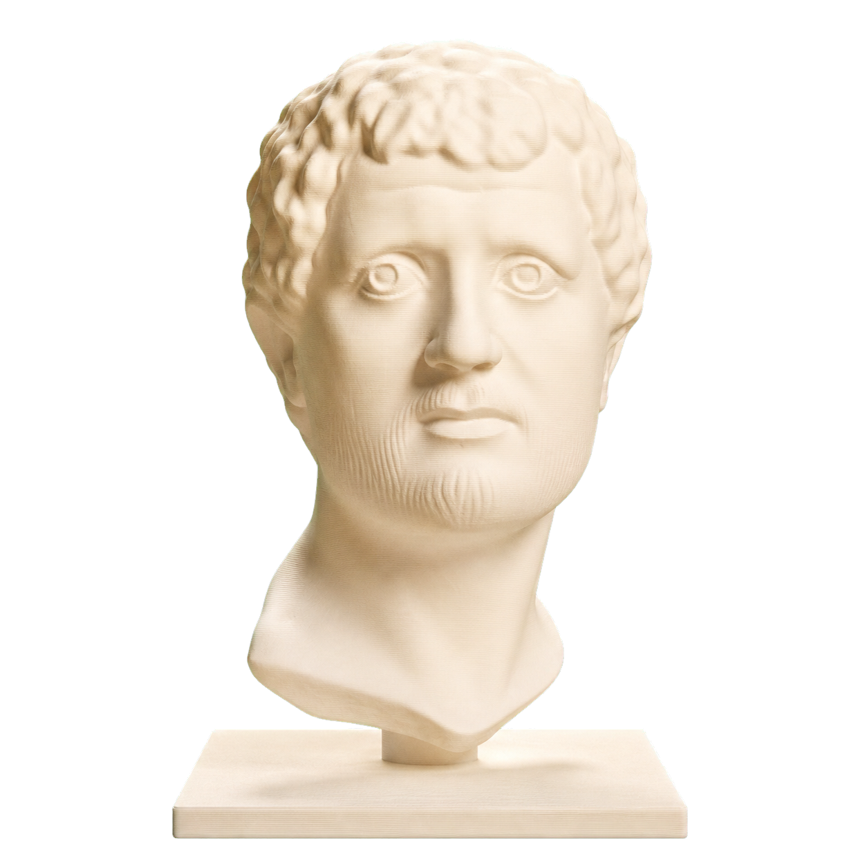 Portrait Head of a Man