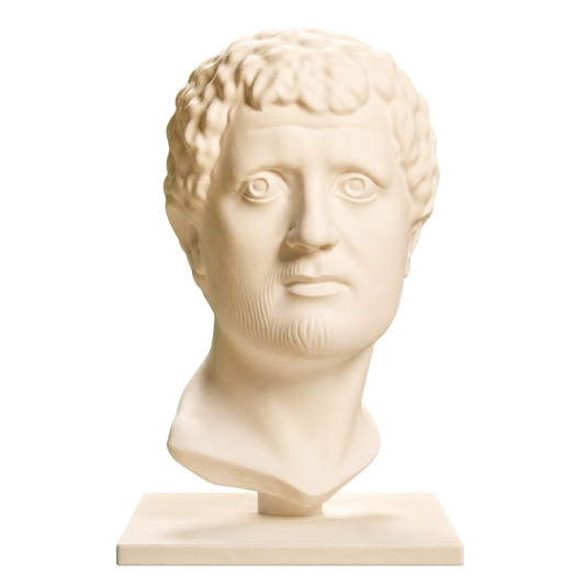 Portrait Head of a Man