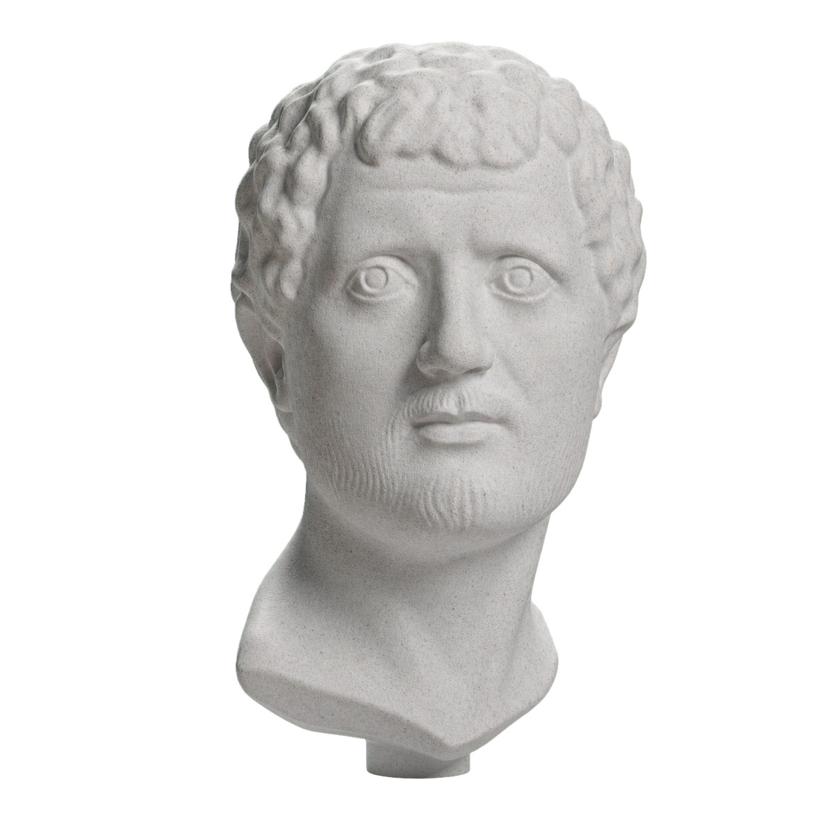 Portrait Head of a Man