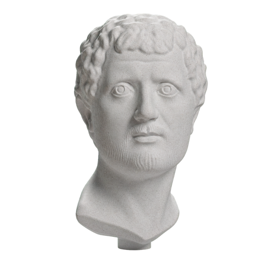Portrait Head of a Man