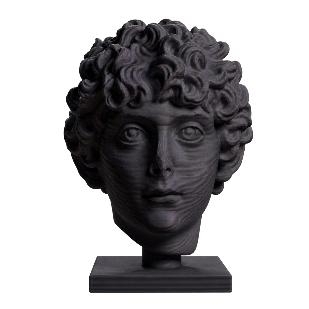 Head of a Roman Youth